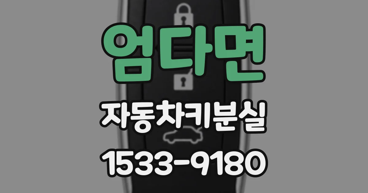 엄다면 자동차키분실