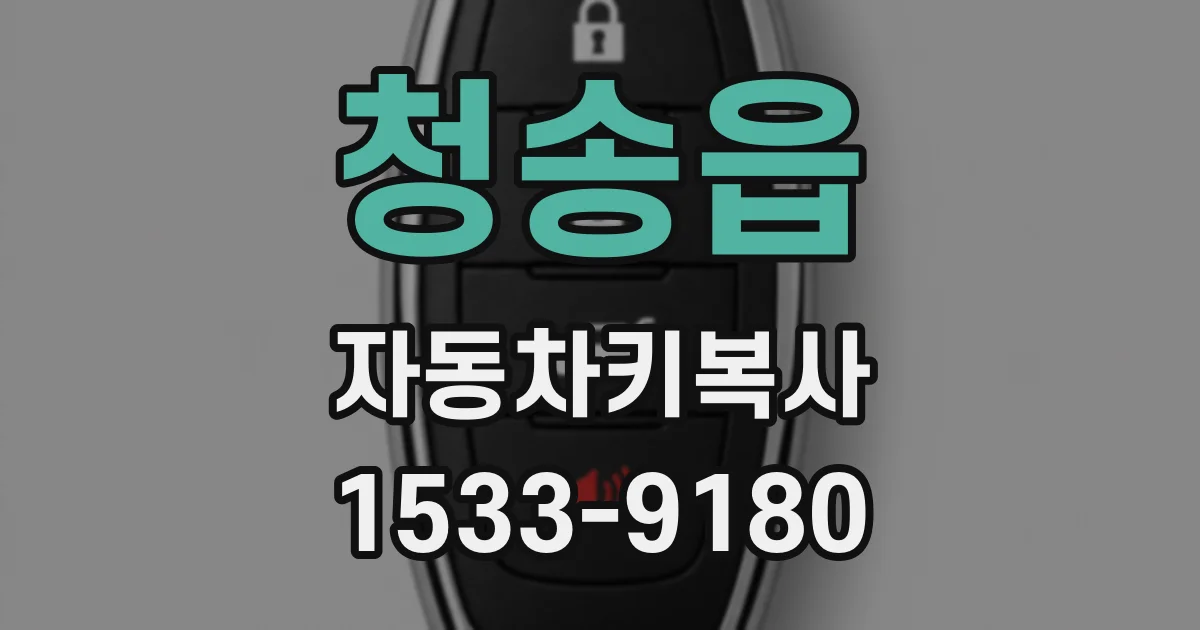 청송읍 자동차키복사