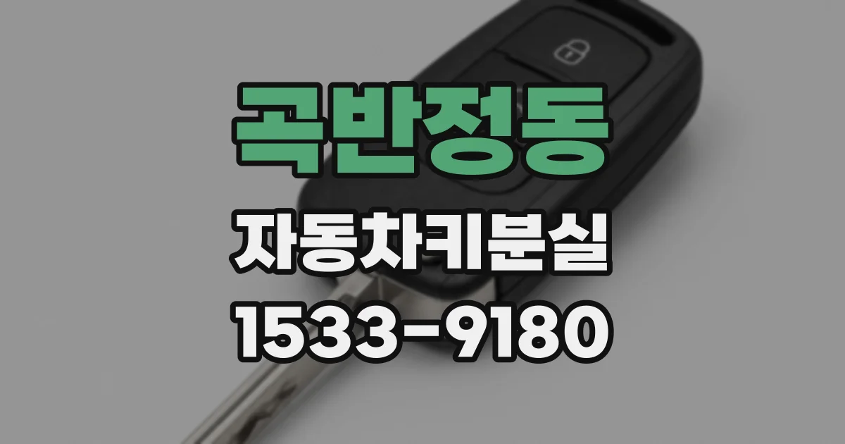 곡반정동 자동차키분실