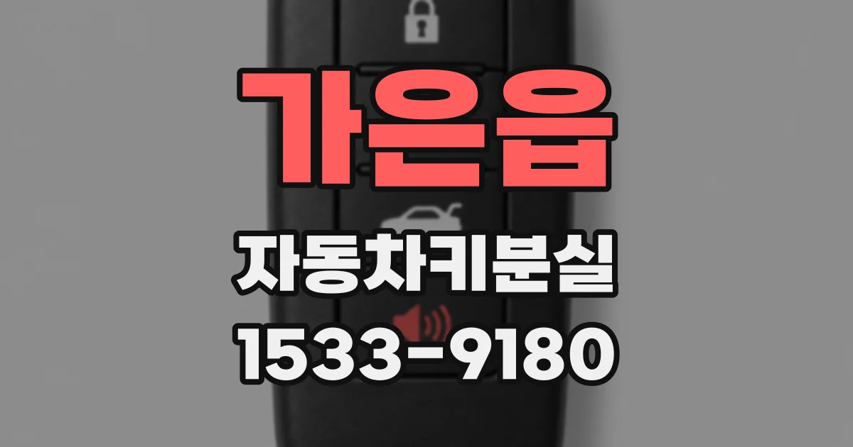 가은읍 자동차키분실