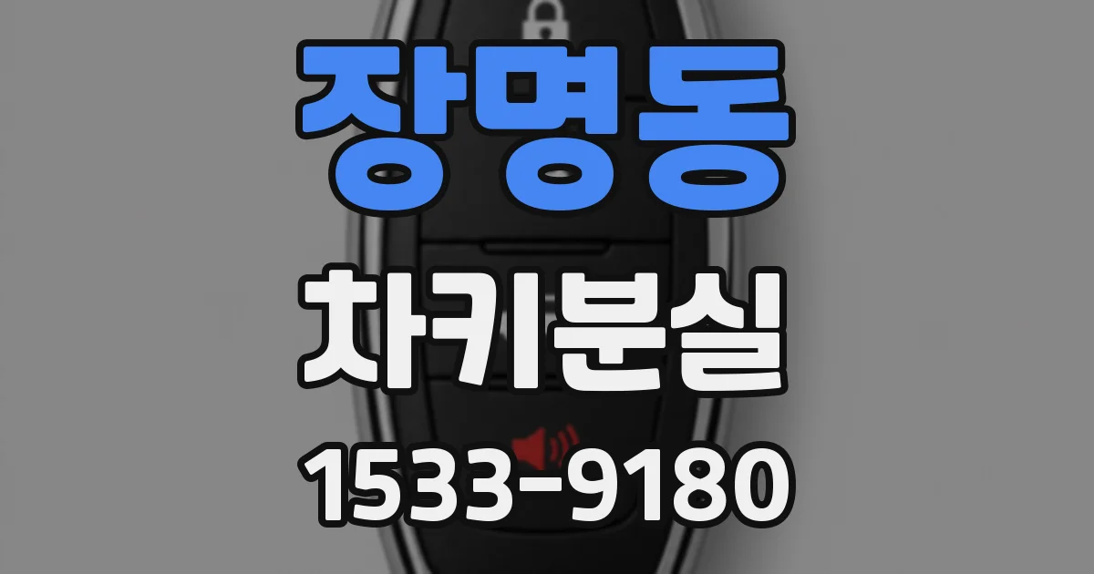 장명동 차키분실