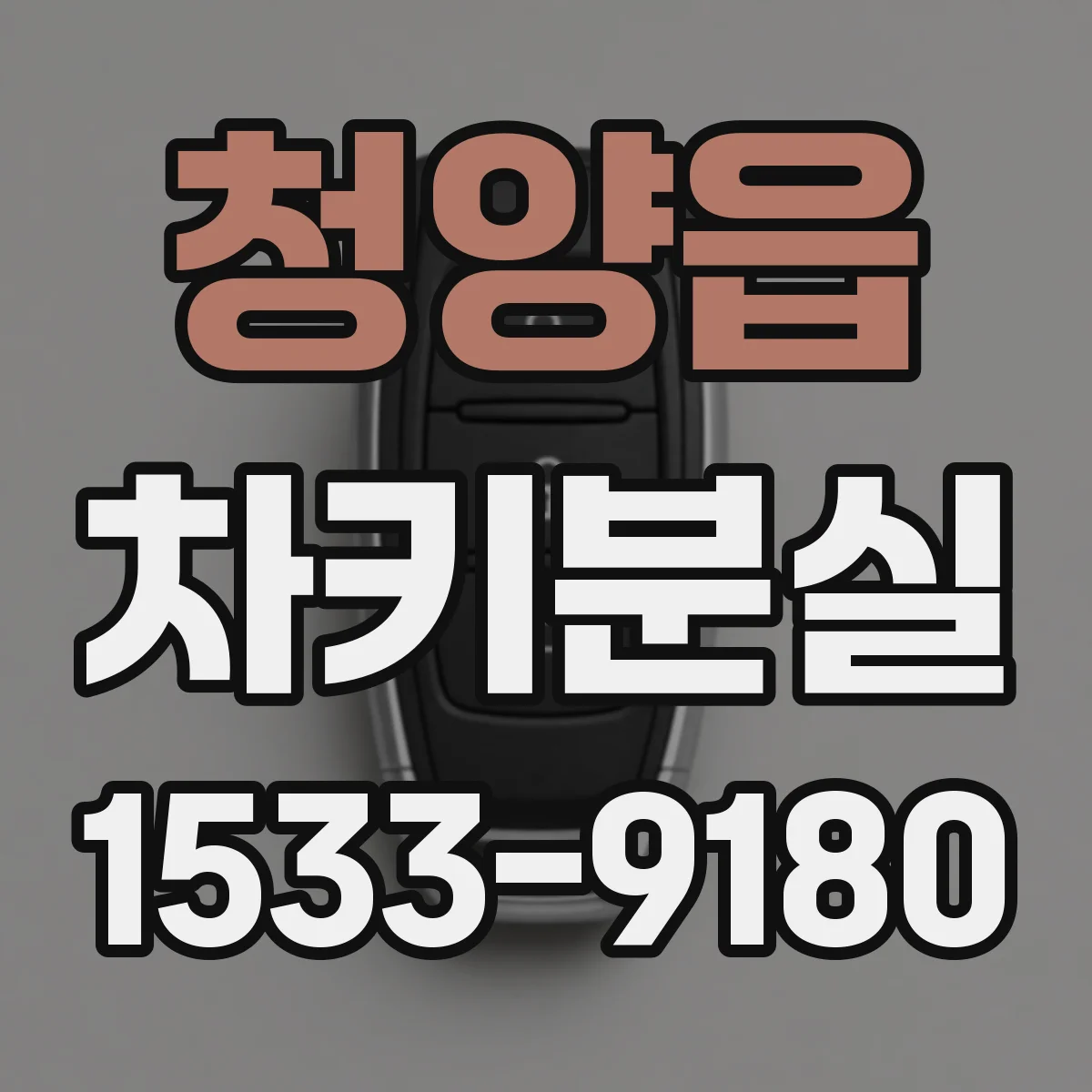 청양읍 차키분실