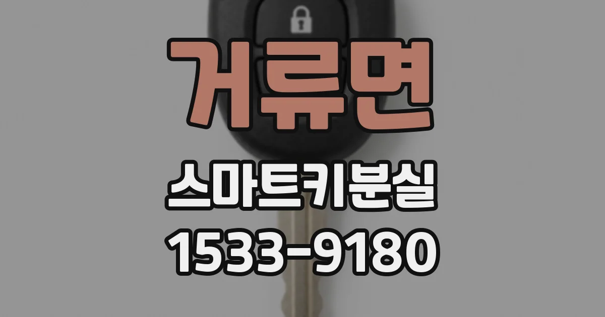 거류면 스마트키분실