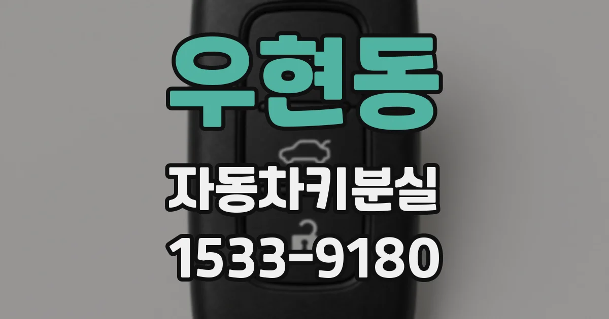 우현동 자동차키분실