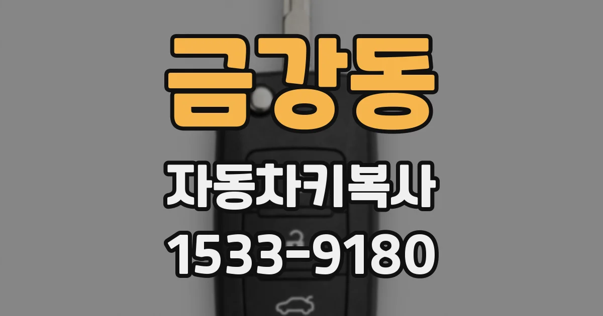 금강동 자동차키복사