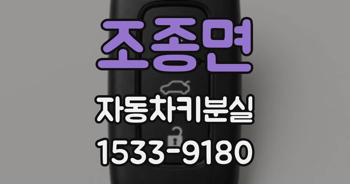 조종면 자동차키분실