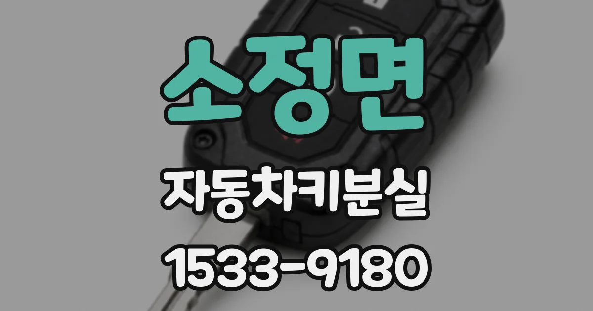 소정면 자동차키분실