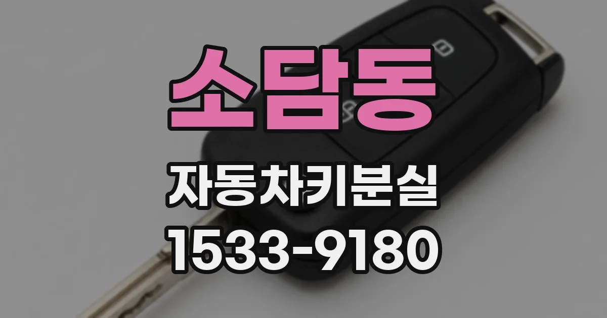 소담동 자동차키분실