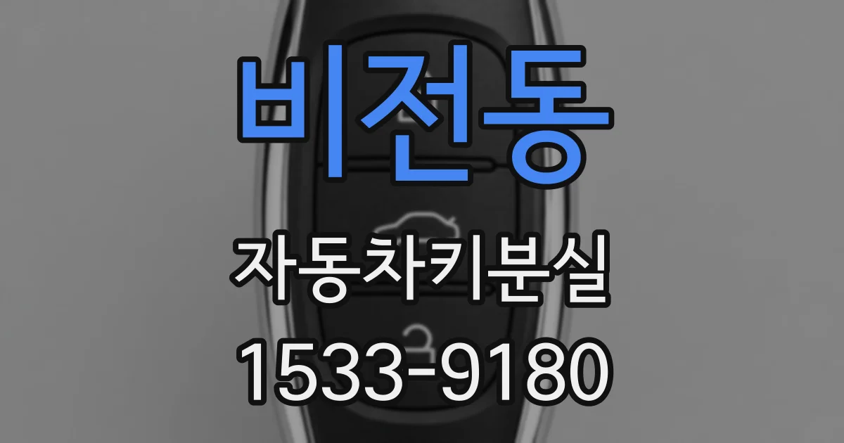 비전동 자동차키분실