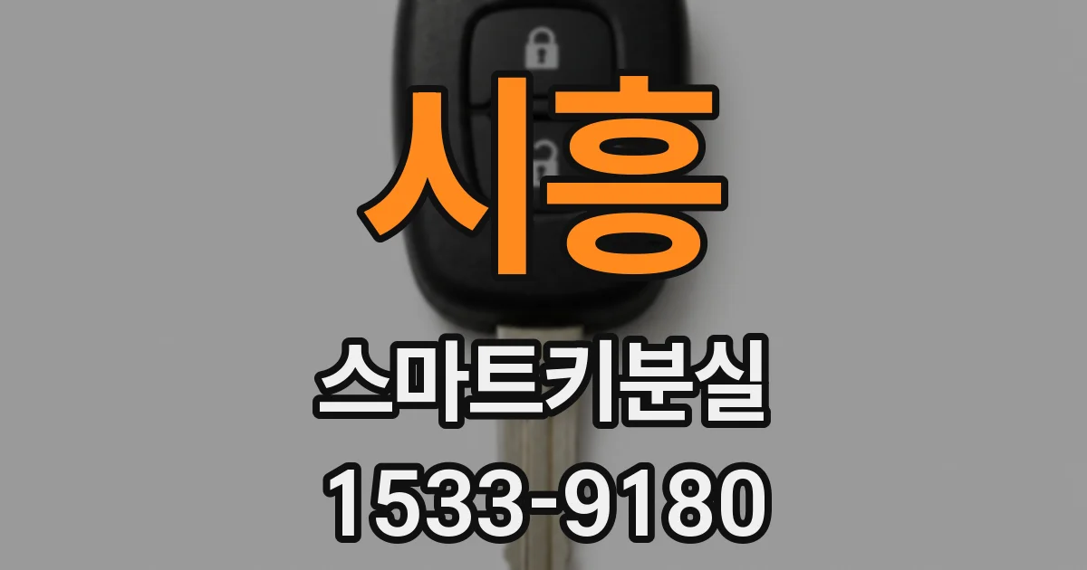 시흥 스마트키분실