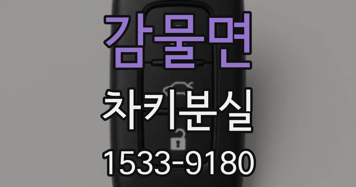 감물면 차키분실