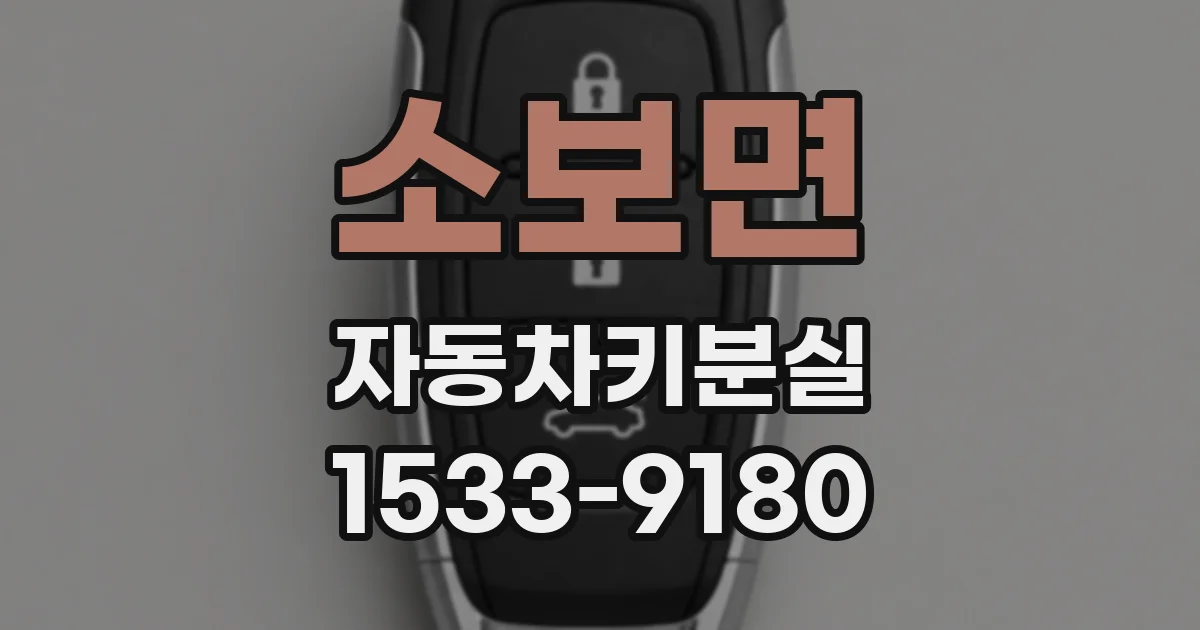 소보면 자동차키분실