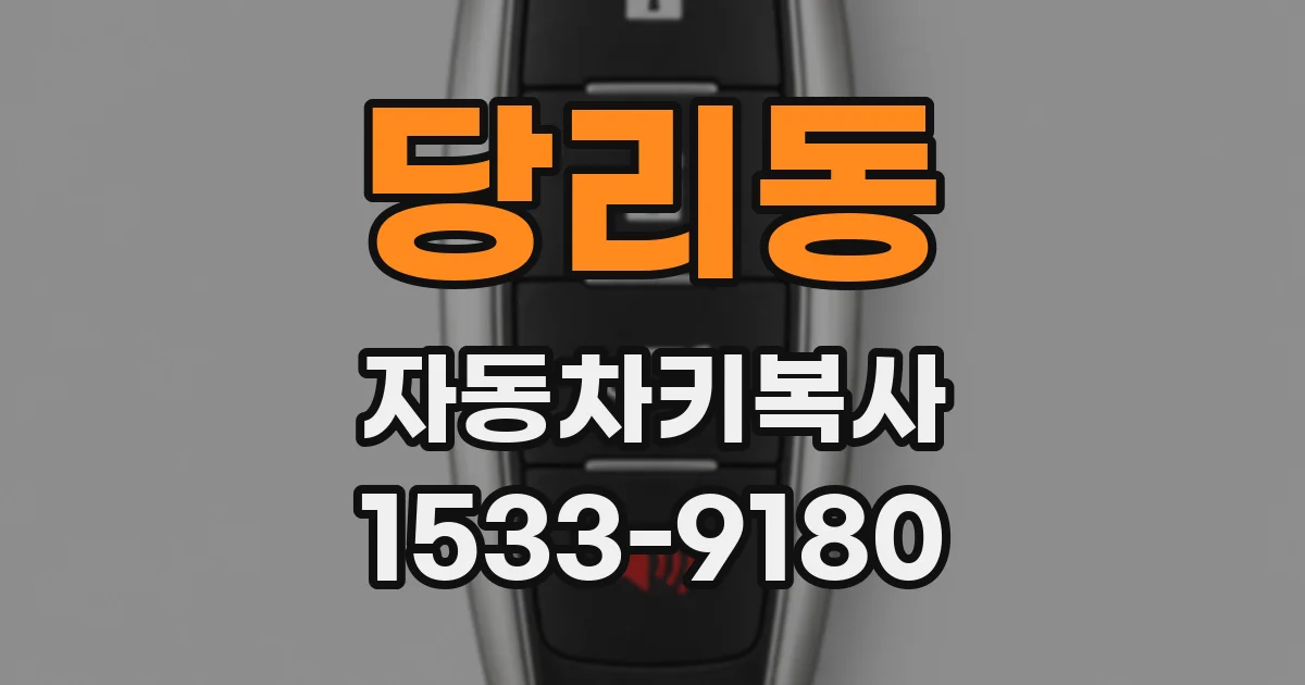 당리동 자동차키복사