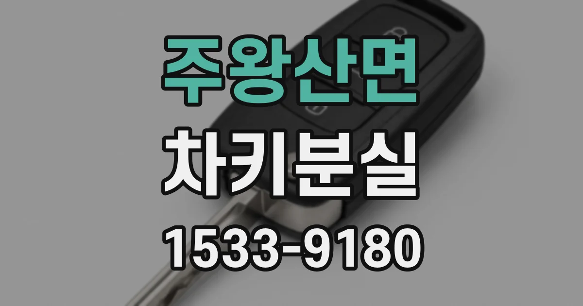 주왕산면 차키분실