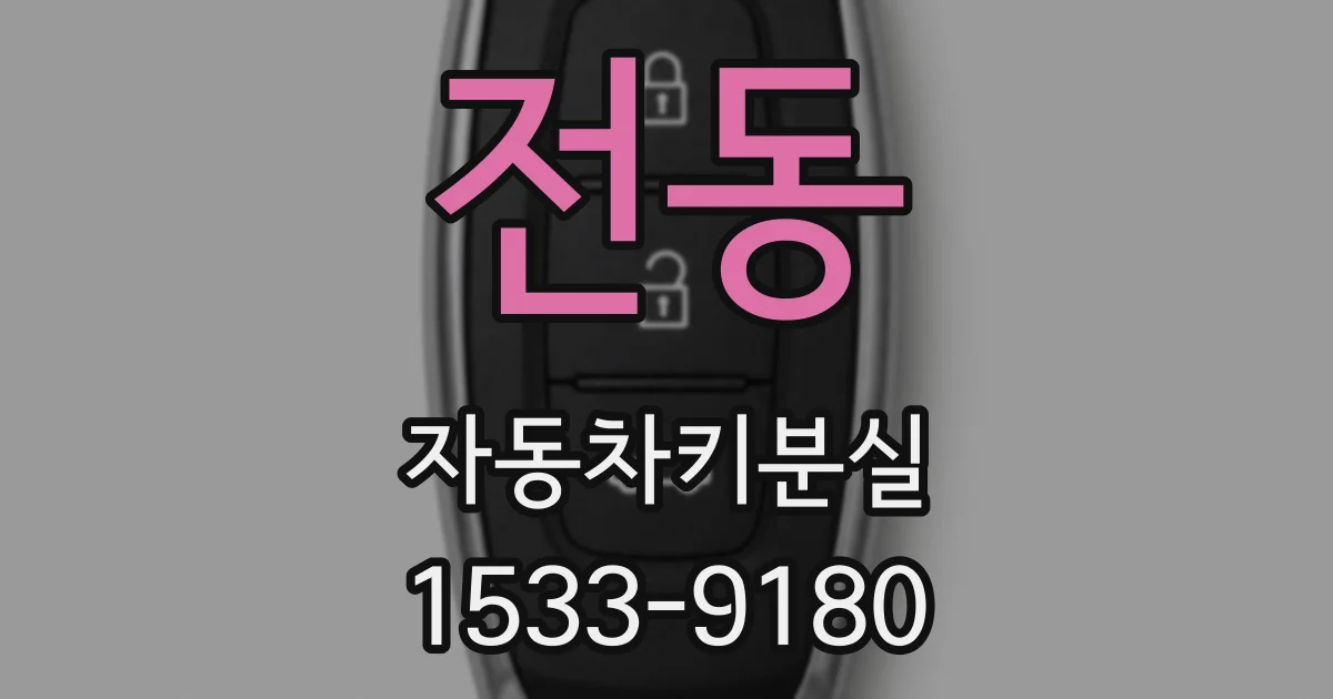 전동 자동차키분실