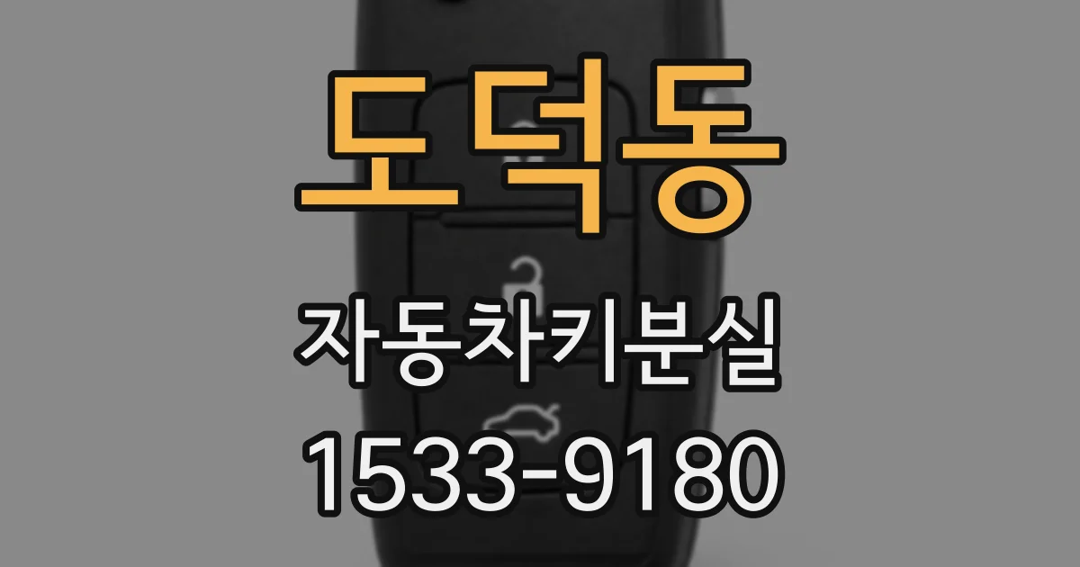 도덕동 자동차키분실