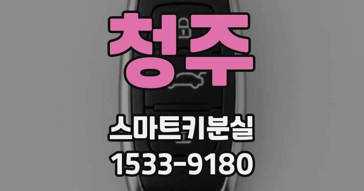 청주 스마트키분실
