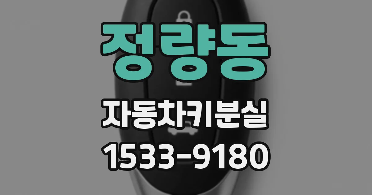 정량동 자동차키분실
