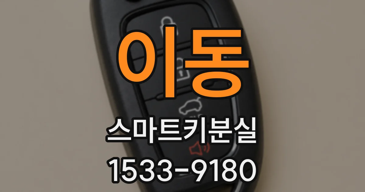 이동 스마트키분실