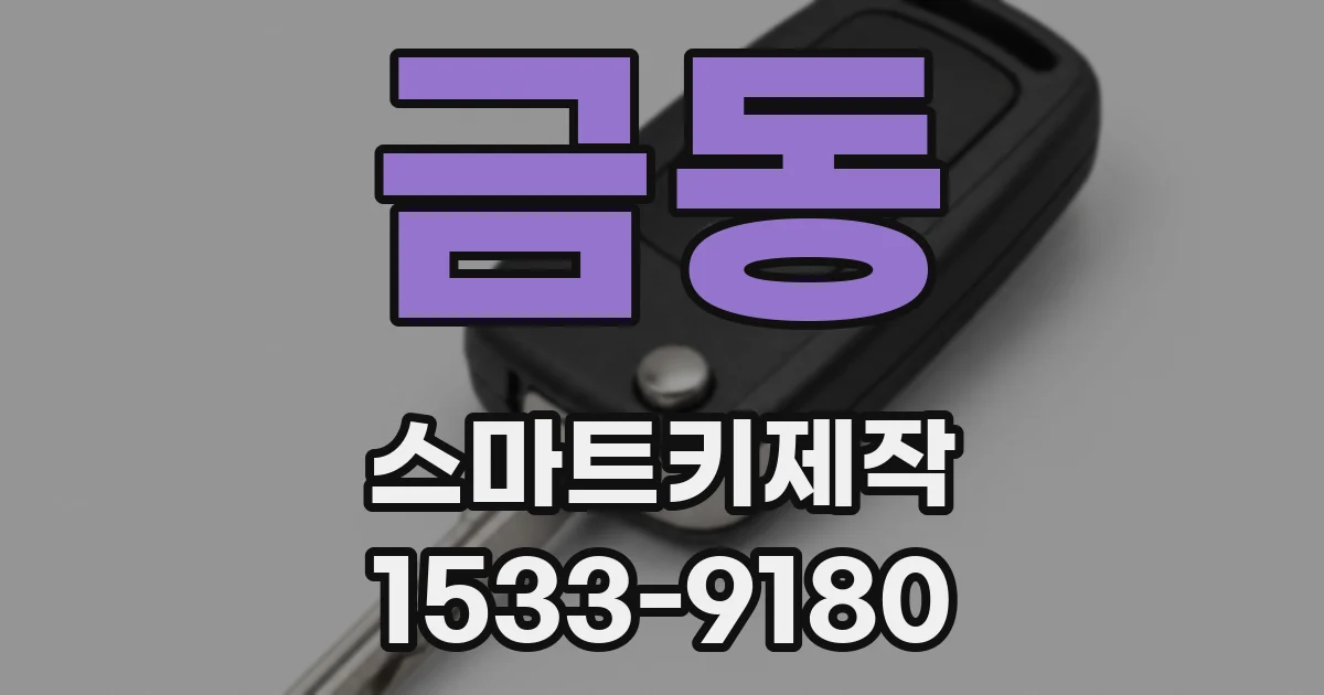 금동 스마트키제작