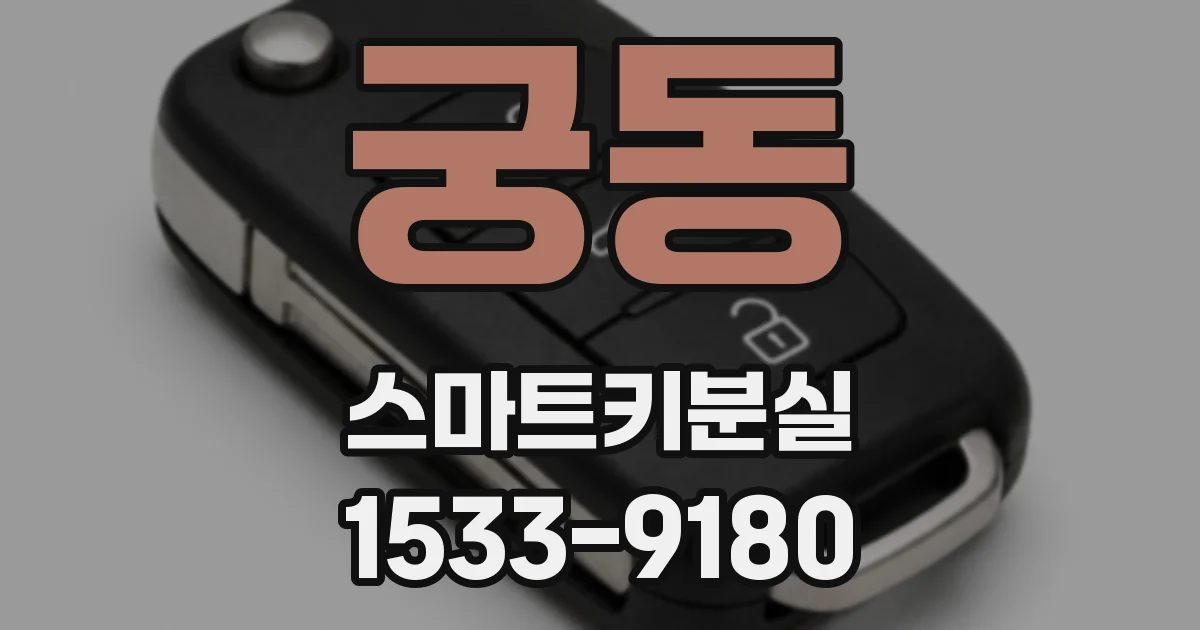 궁동 스마트키분실