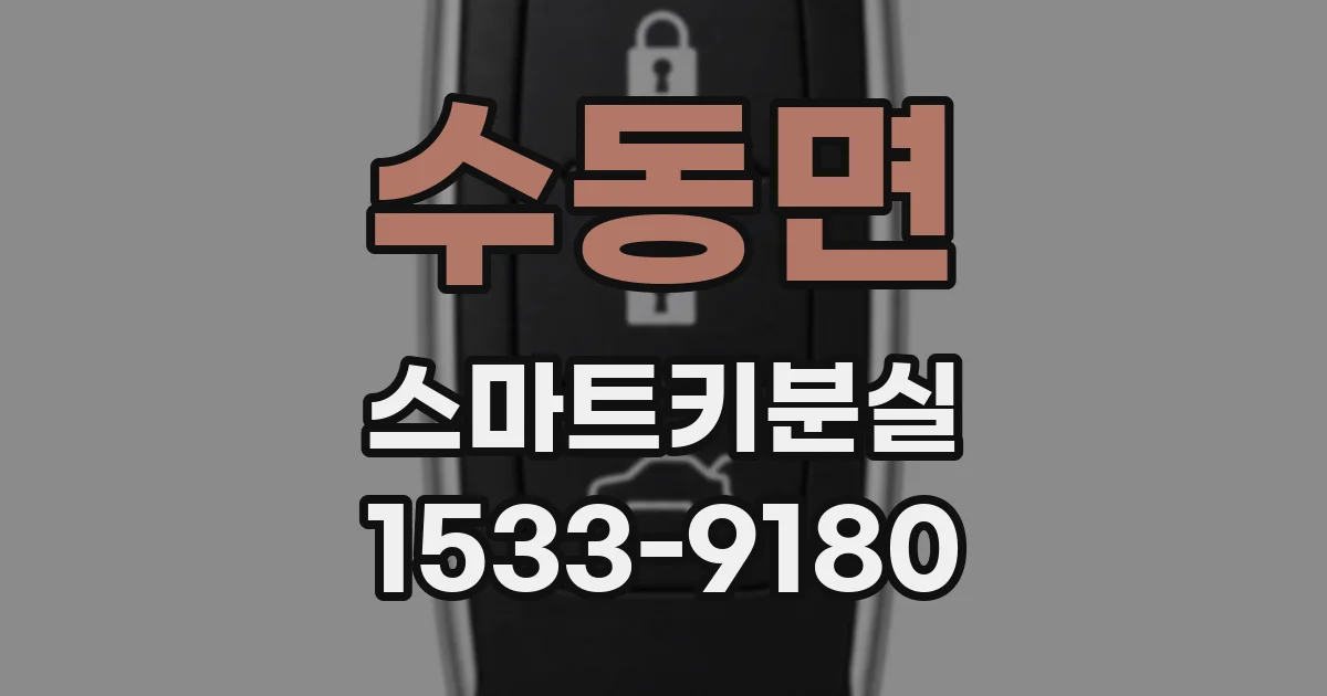 수동면 스마트키분실