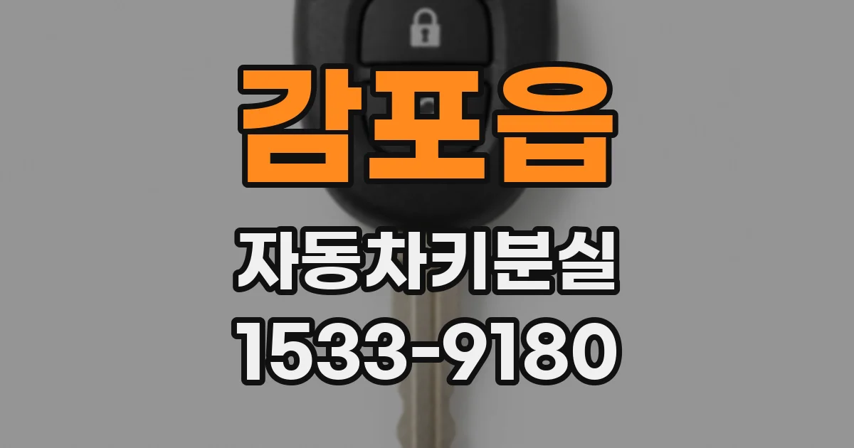 감포읍 자동차키분실