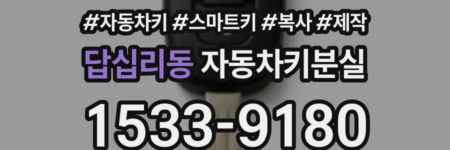 답십리동 자동차키분실