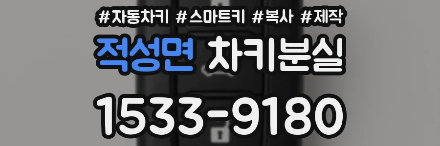 적성면 차키분실