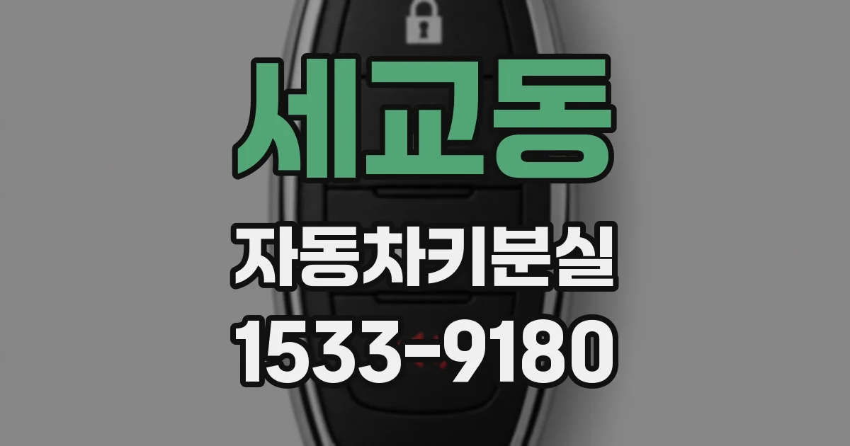 세교동 자동차키분실