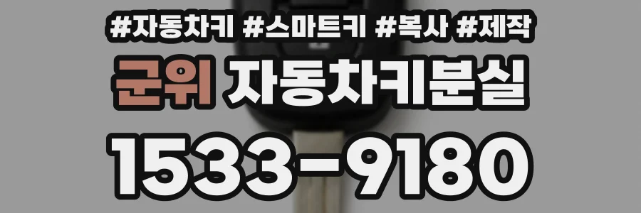 군위 자동차키분실