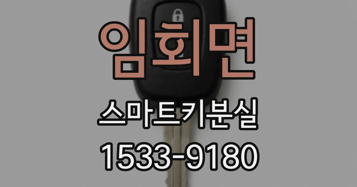 임회면 스마트키분실