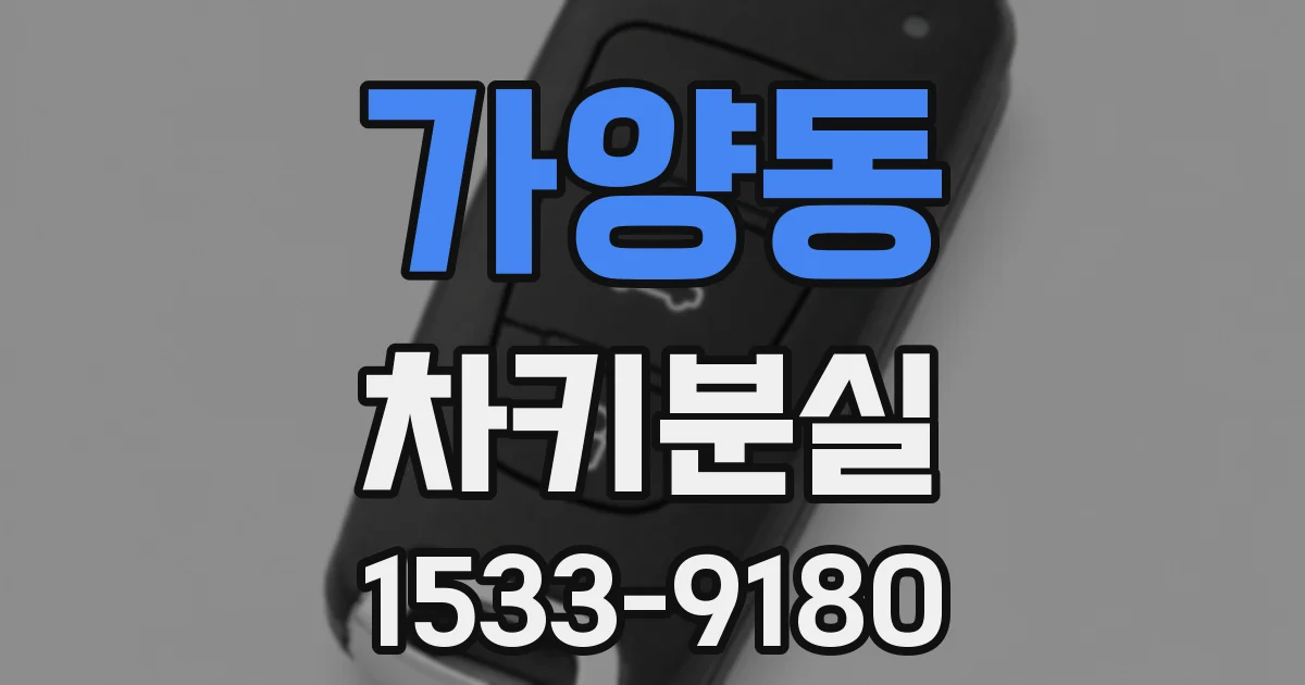 가양동 차키분실