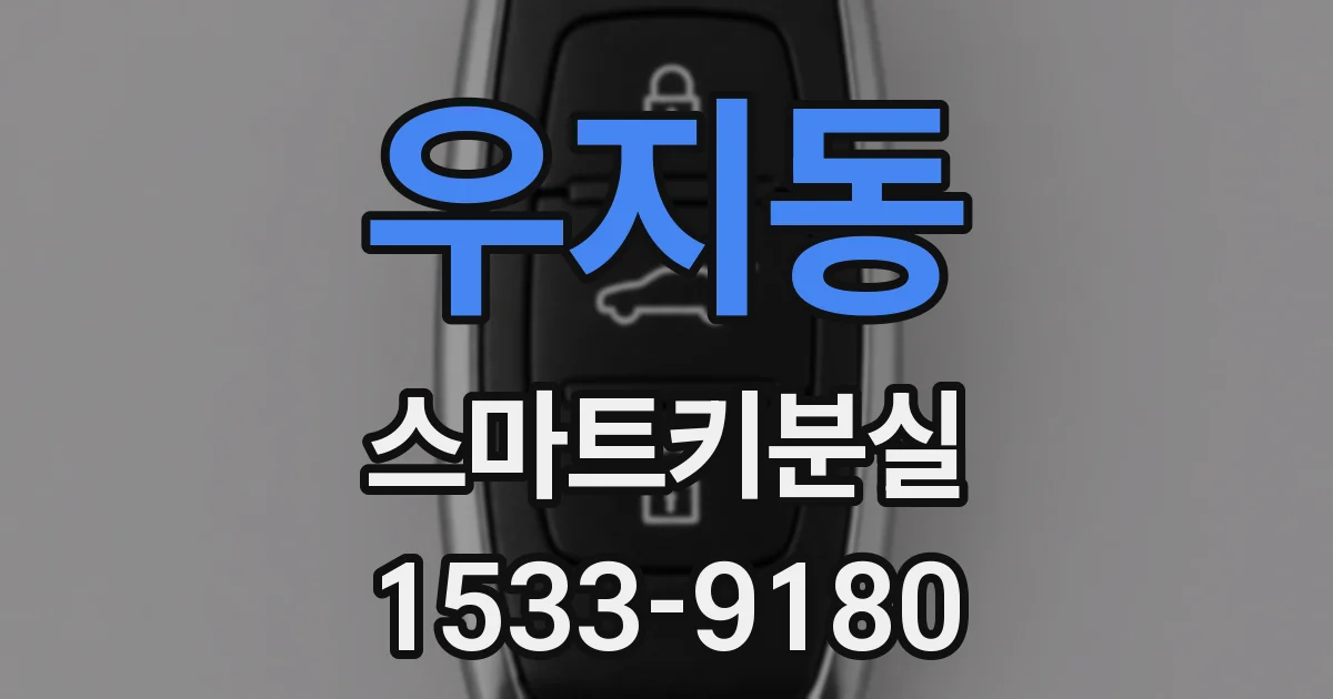 우지동 스마트키분실