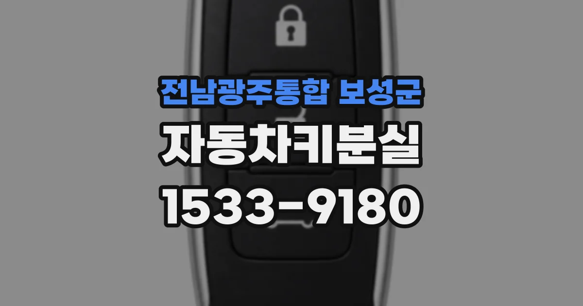 전남광주통합 보성군 자동차키분실