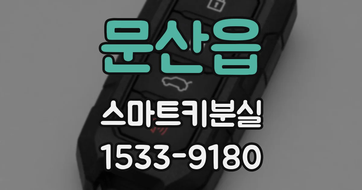 문산읍 스마트키분실