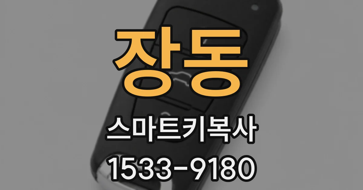 장동 스마트키복사