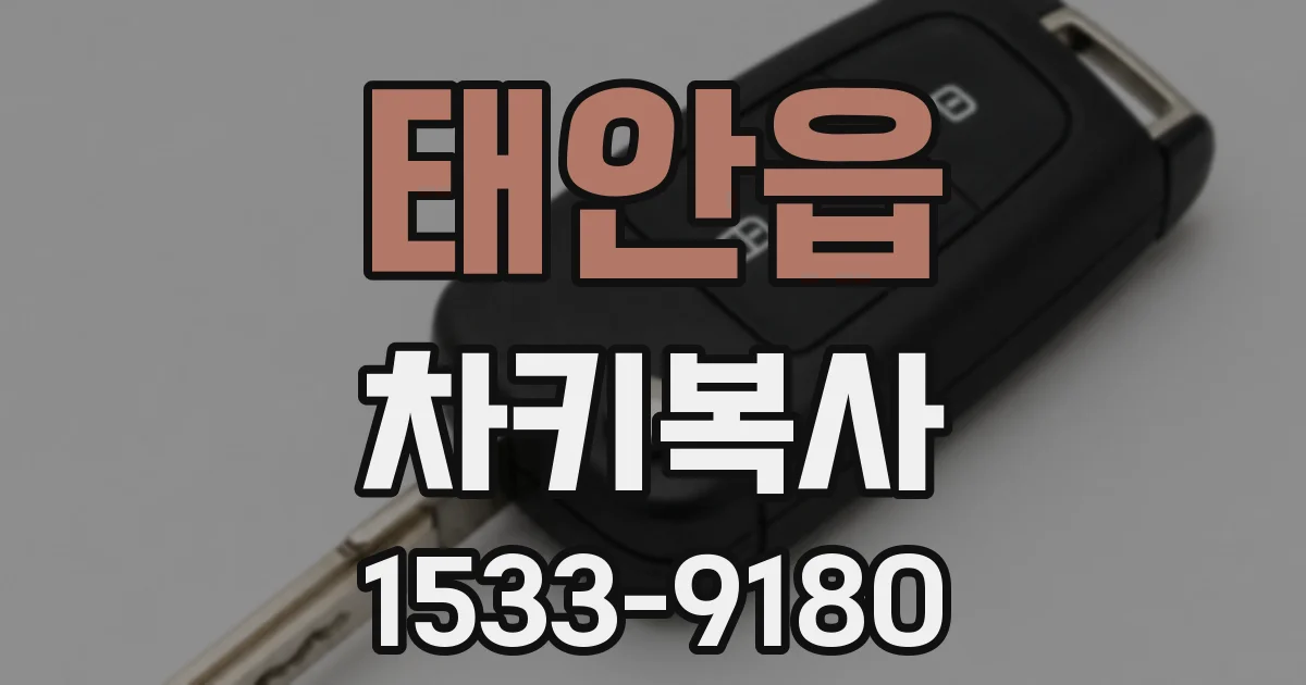태안읍 차키복사