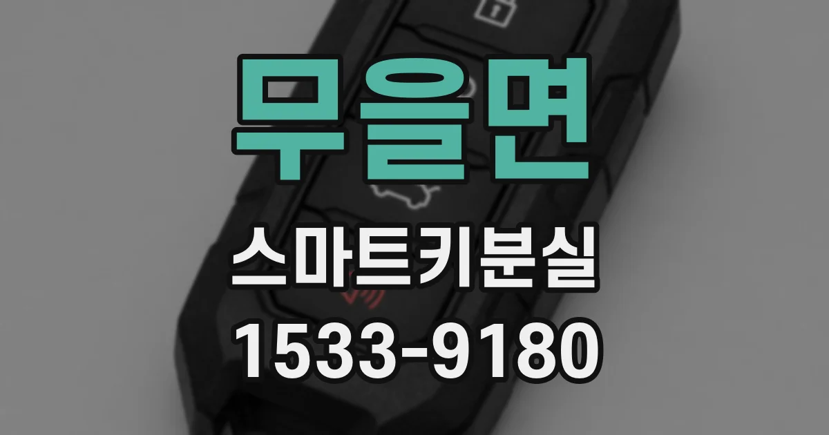 무을면 스마트키분실