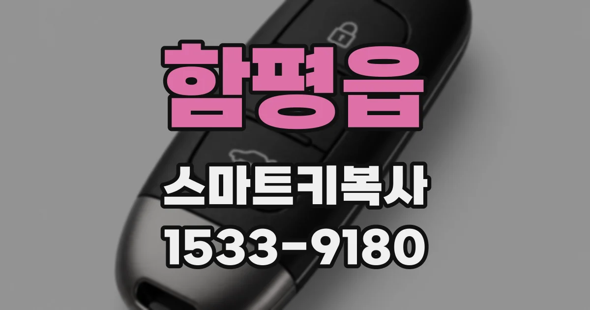 함평읍 스마트키복사