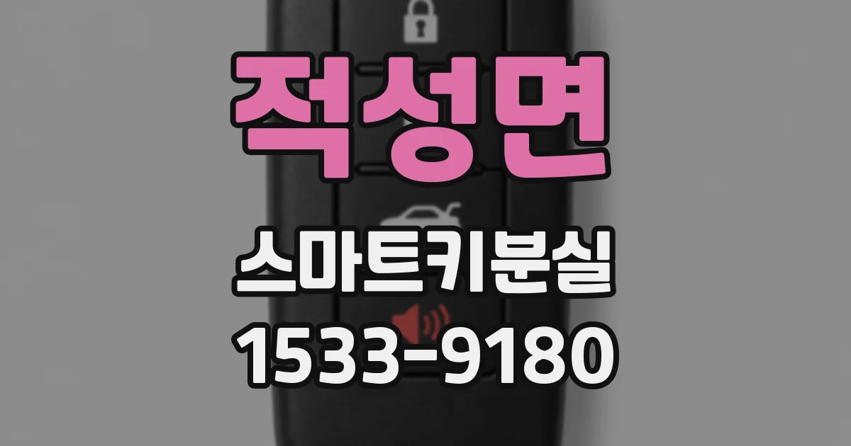 적성면 스마트키분실