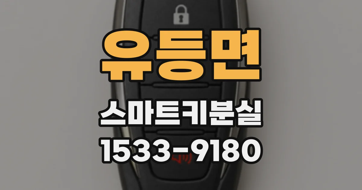 유등면 스마트키분실