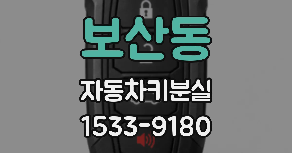 보산동 자동차키분실