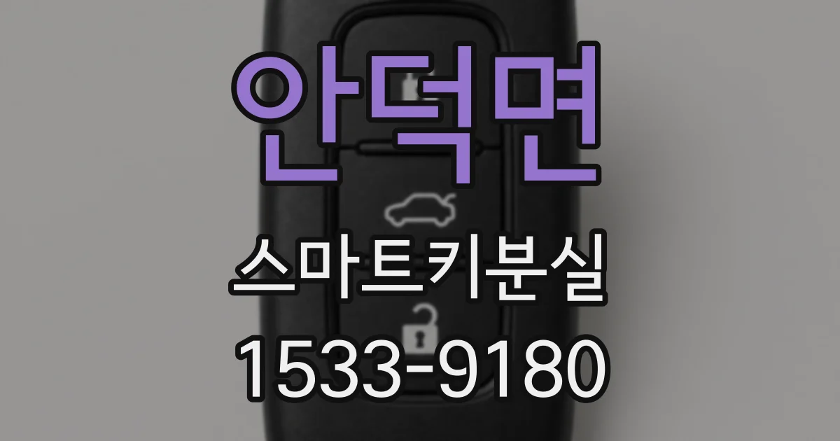 안덕면 스마트키분실