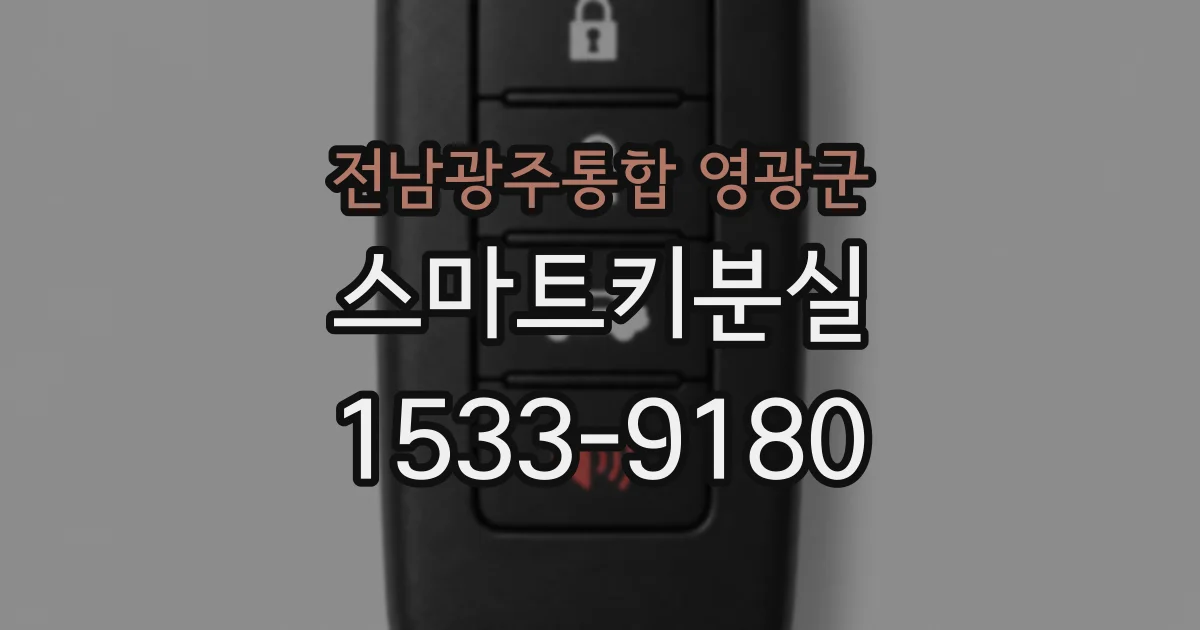 전남광주통합 영광군 스마트키분실