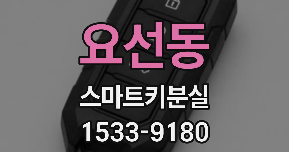 요선동 스마트키분실