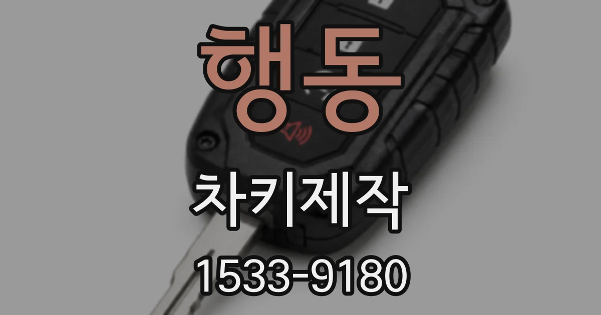행동 차키제작