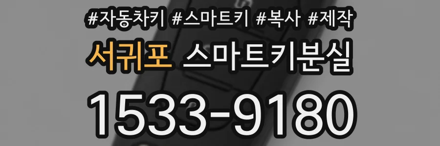 서귀포 스마트키분실