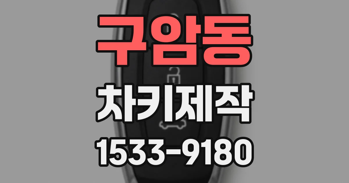 구암동 차키제작