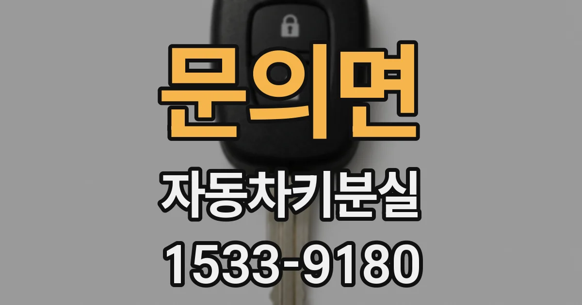 문의면 자동차키분실